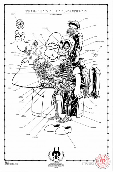 DISSECTION OF HOMER SIMPSON - ANATOMY SHEET NO. 25
