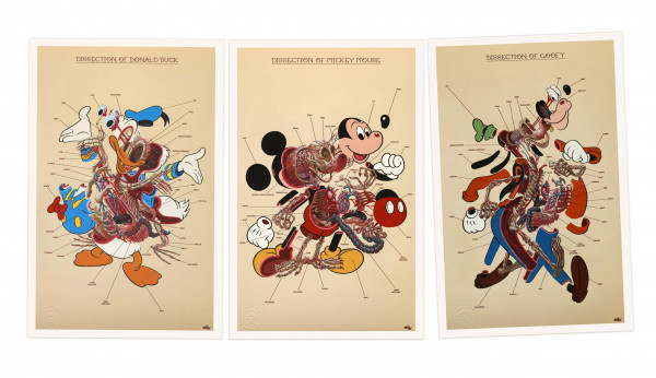 Bundle: Dissection of Donald, Mickey and Goofy - Anatomy Sheets