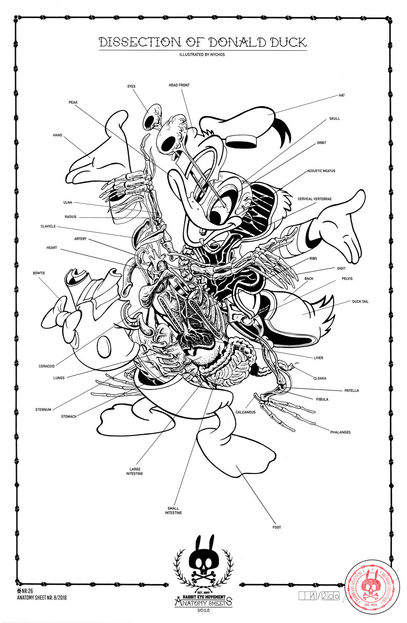 DISSECTION OF DONALD DUCK - ANATOMY SHEET NO. 26 | Prints | Rabbit Eye ...