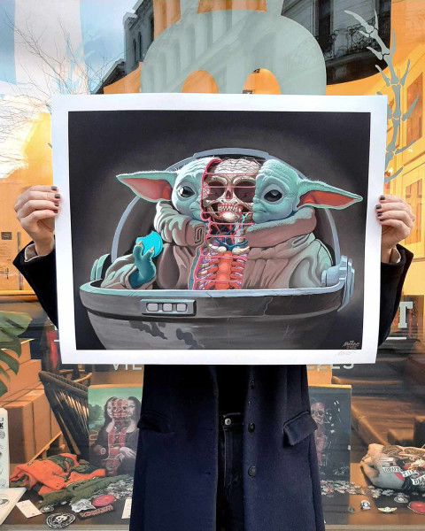 NYCHOS: Dissection of Grogu (small)