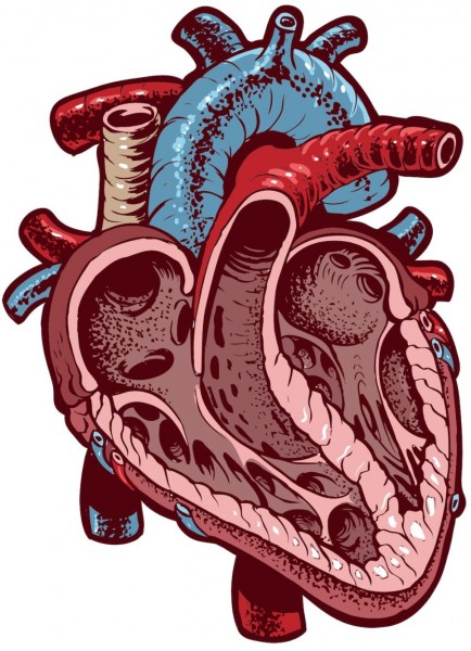 PATCH HEART – MULTICOLOR