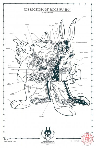 DISSECTION OF BUGS BUNNY: ANATOMY SHEET NO. 20