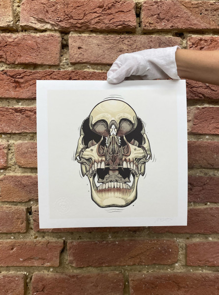 NYCHOS: Dissected Skull No.2 (Fine Art Print)